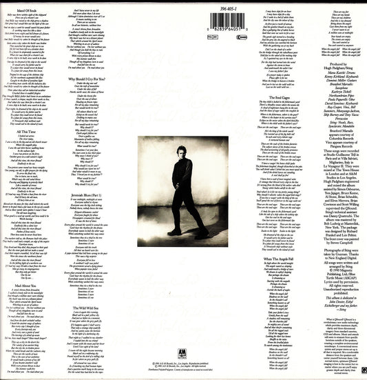 Sting - The Soul Cages Vinyl LP | EU Original | 1991 Kopie