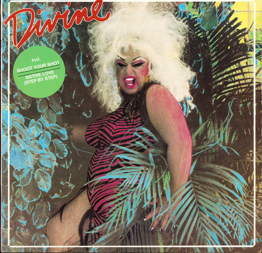 Divine ‎- My First Album Vinyl LP