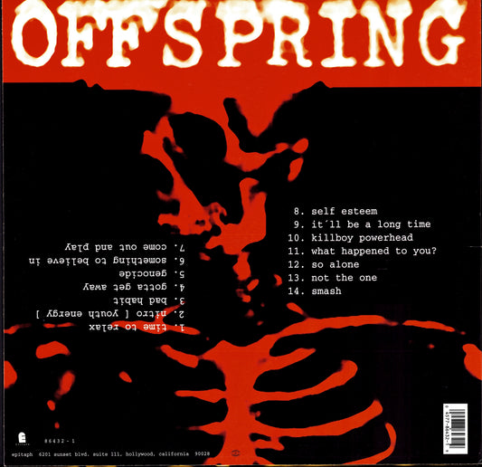 The Offspring - Smash Vinyl LP | US Original | 1994