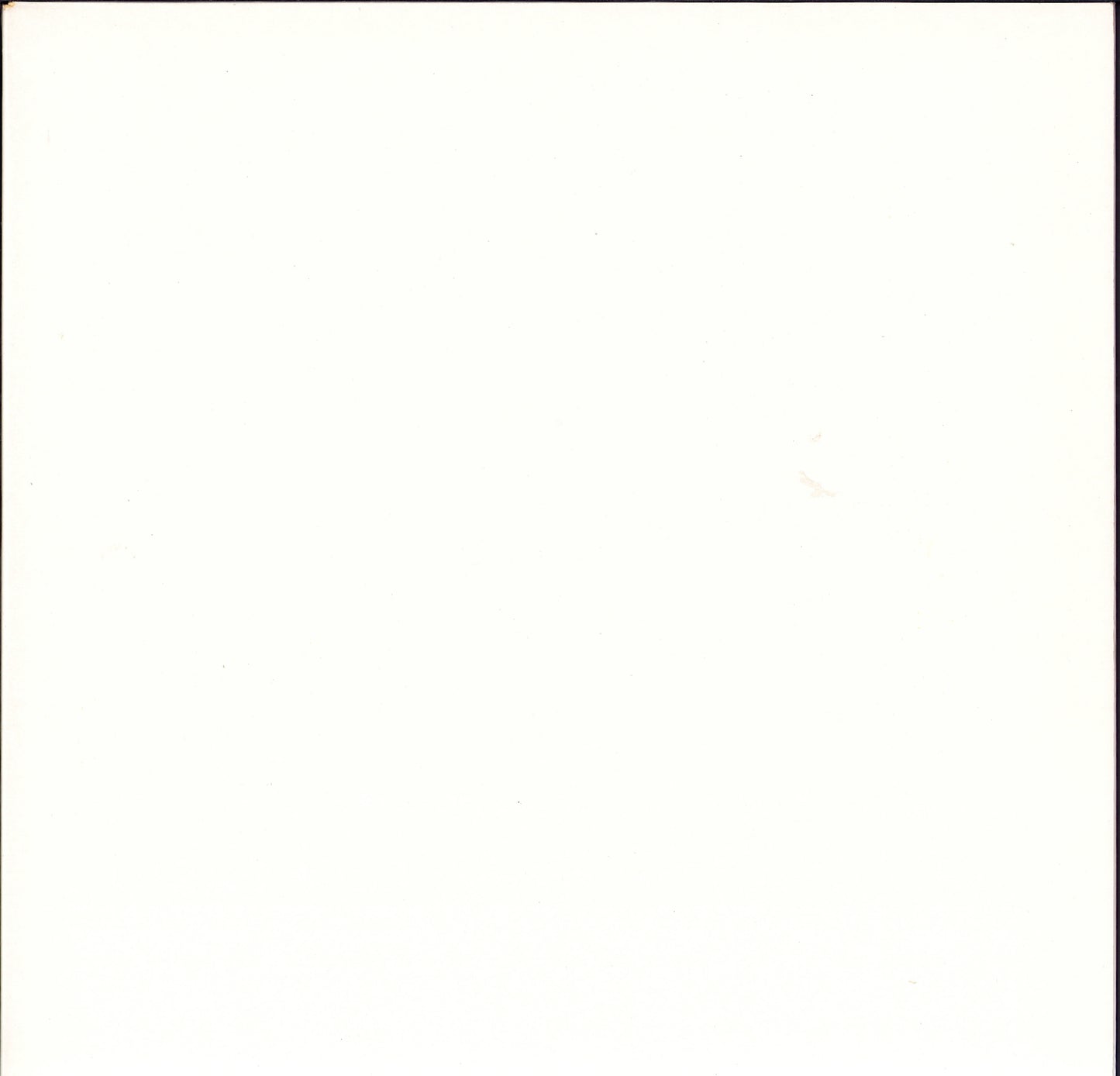 The Beatles ‎- The Beatles The White Album Vinyl 2LP