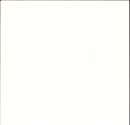 The Beatles ‎- The Beatles The White Album Vinyl 2LP