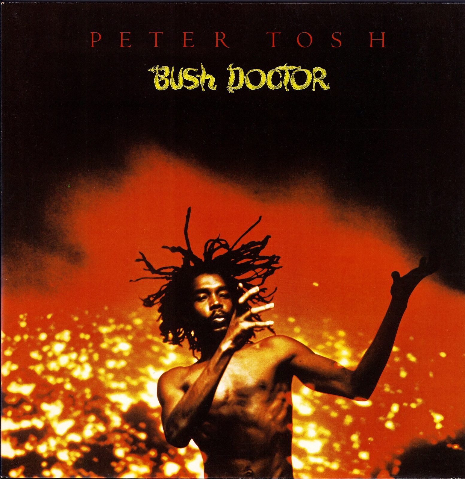 Peter Tosh ‎- Bush Doctor