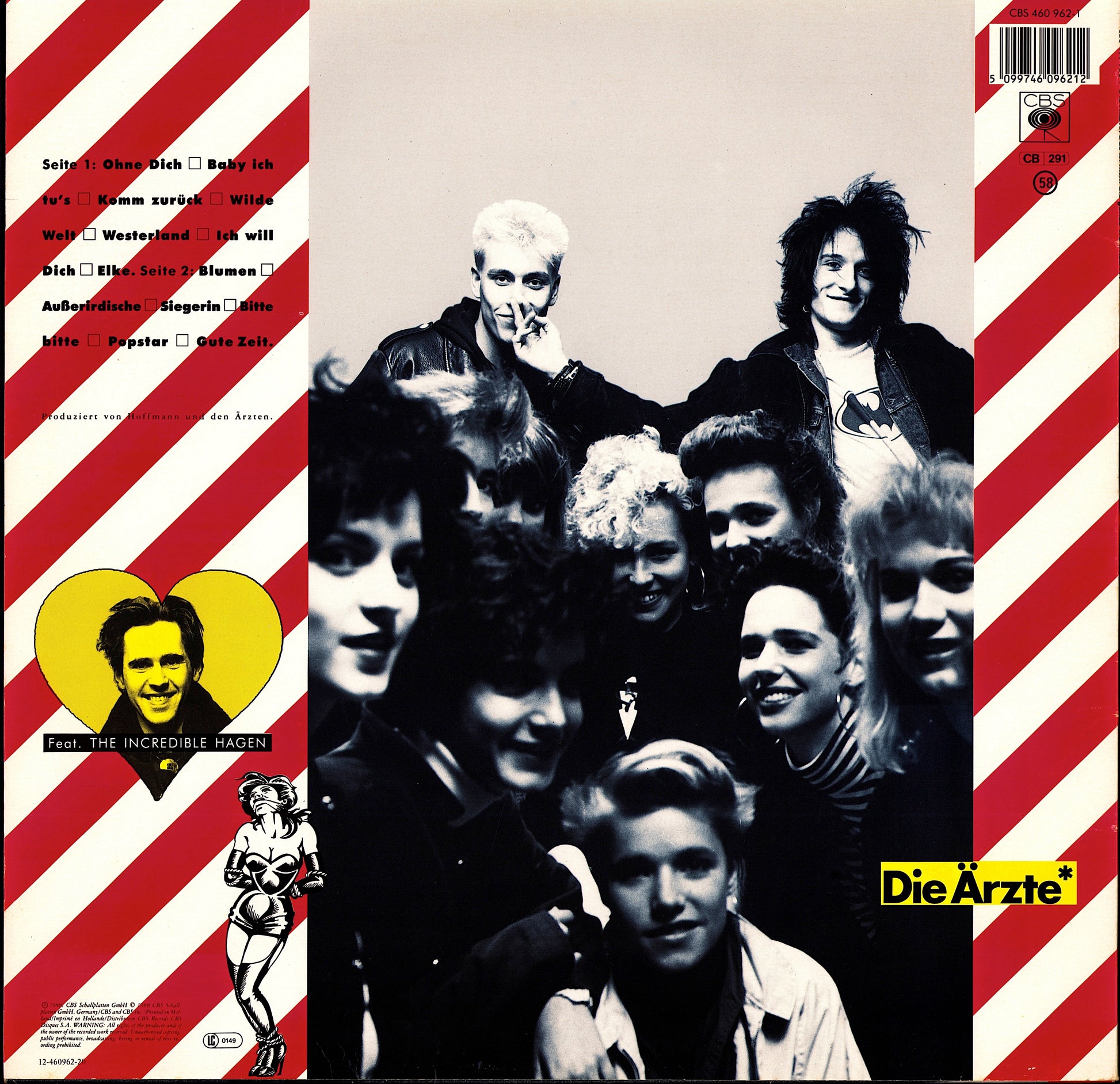 Die Ärzte ‎- Das Ist Nicht Die Ganze Wahrheit... Vinyl LP