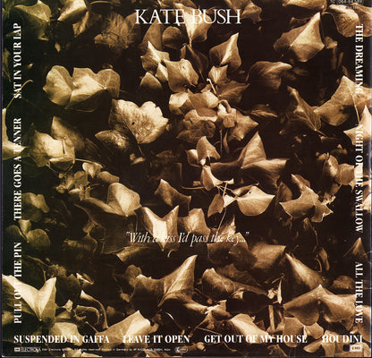 Kate Bush - The Dreaming Vinyl LP