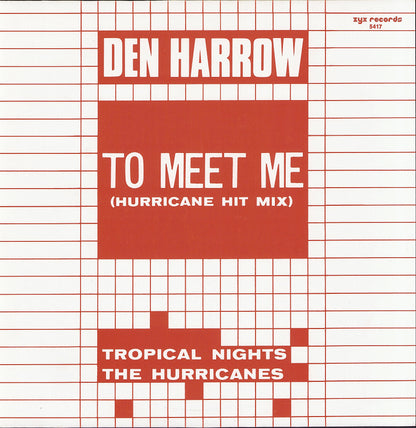 Den Harrow / The Hurricanes ‎- To Meet Me Hurricane Hit Mix / Tropical Nights Vinyl 12"