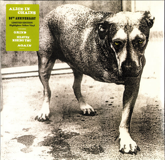 Alice in Chains - Alice in Chains Yellow Vinyl 2LP 30th Anniversary