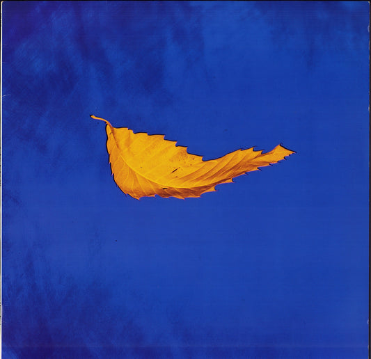 New Order - True Faith / 1963 Vinyl 12"