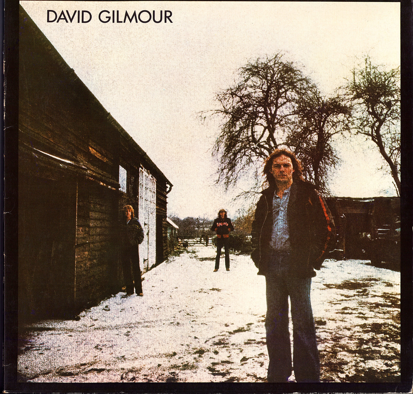 David Gilmour - David Gilmour (Vinyl LP)