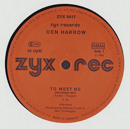 Den Harrow / The Hurricanes ‎- To Meet Me Hurricane Hit Mix / Tropical Nights Vinyl 12"
