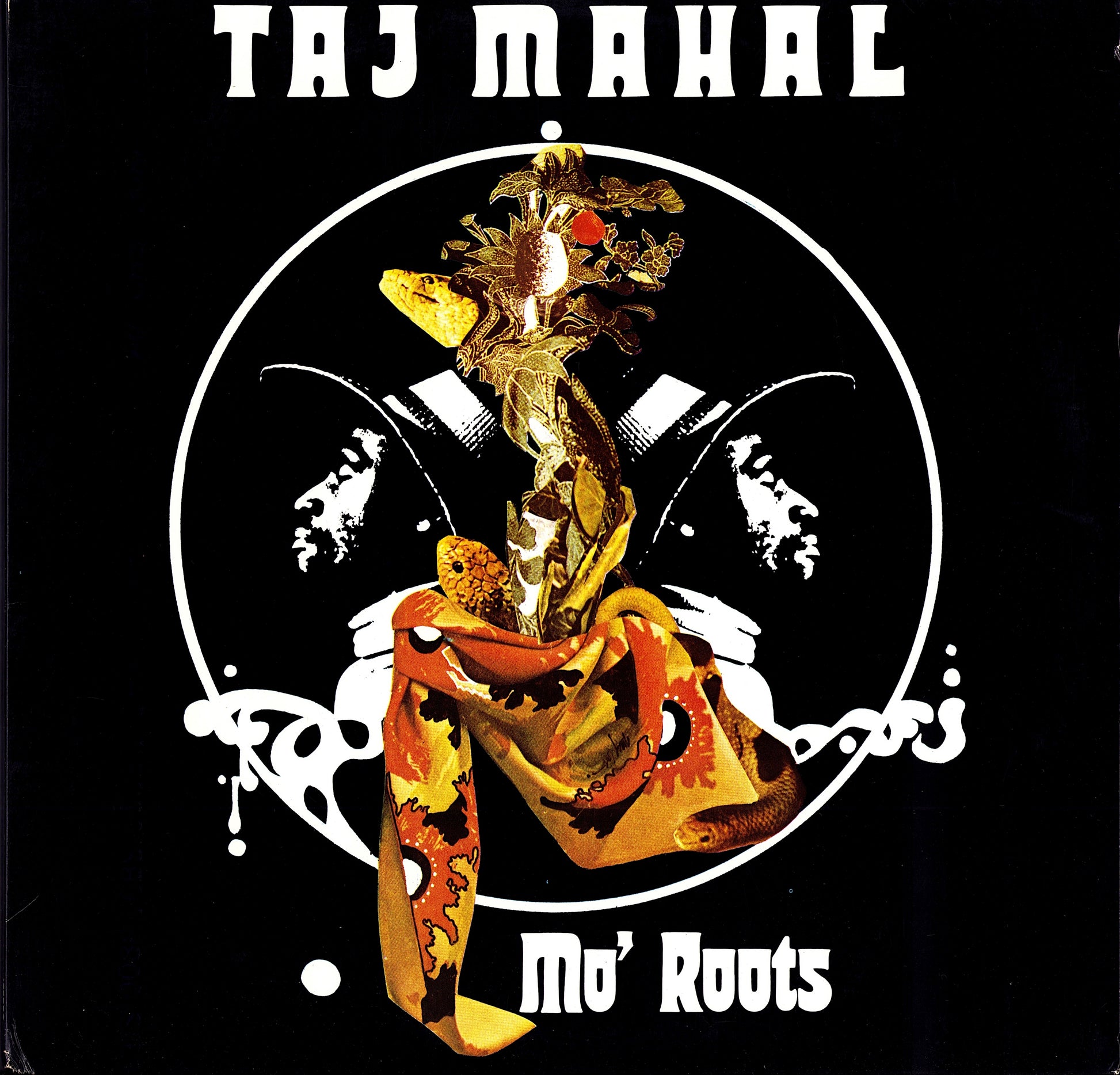 Taj Mahal – Mo' Roots Vinyl LP