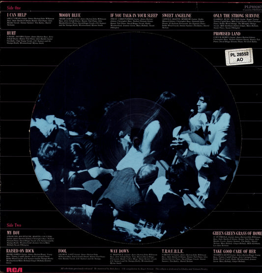 Elvis Presley - I Can Help And Other Great Hits (Vinyl LP | Picture Disc | EU Original | 1984)