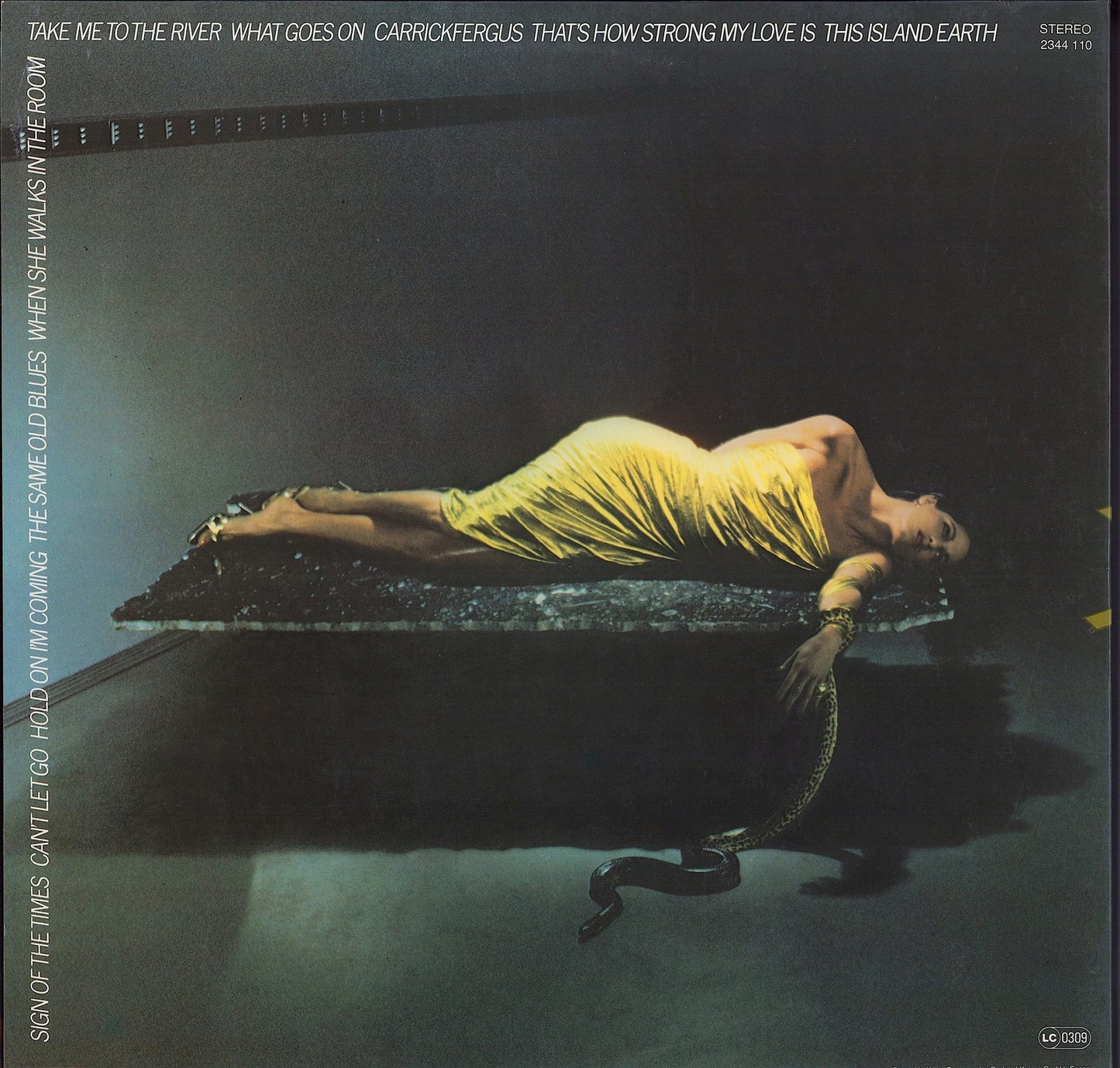 Bryan Ferry - The Bride Stripped Bare Vinyl LP