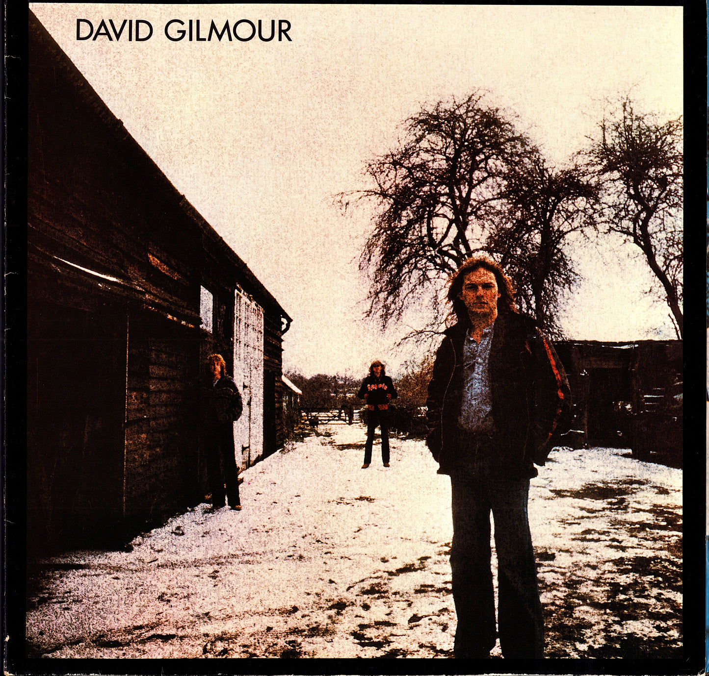 David Gilmour - About Face Vinyl LP Kopie