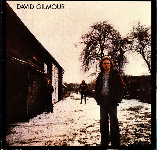 David Gilmour - About Face Vinyl LP Kopie