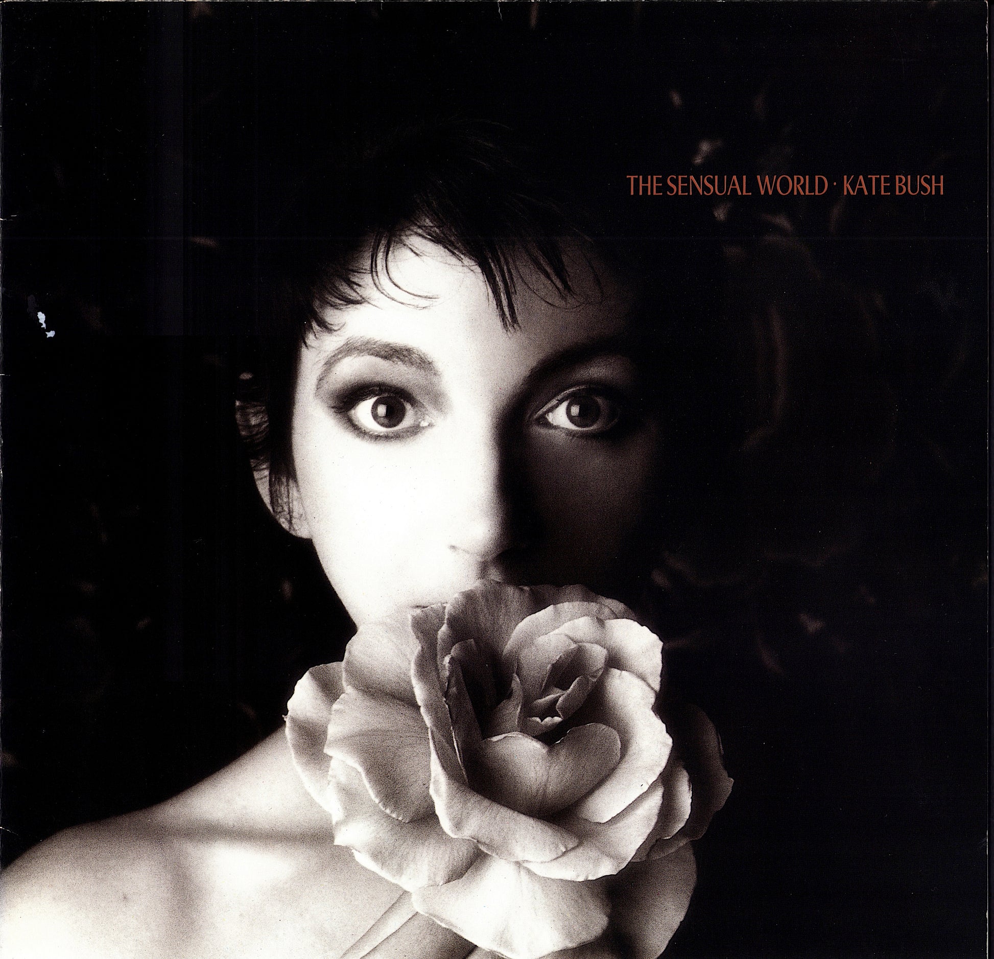 Kate Bush - The Sensual World Vinyl LP