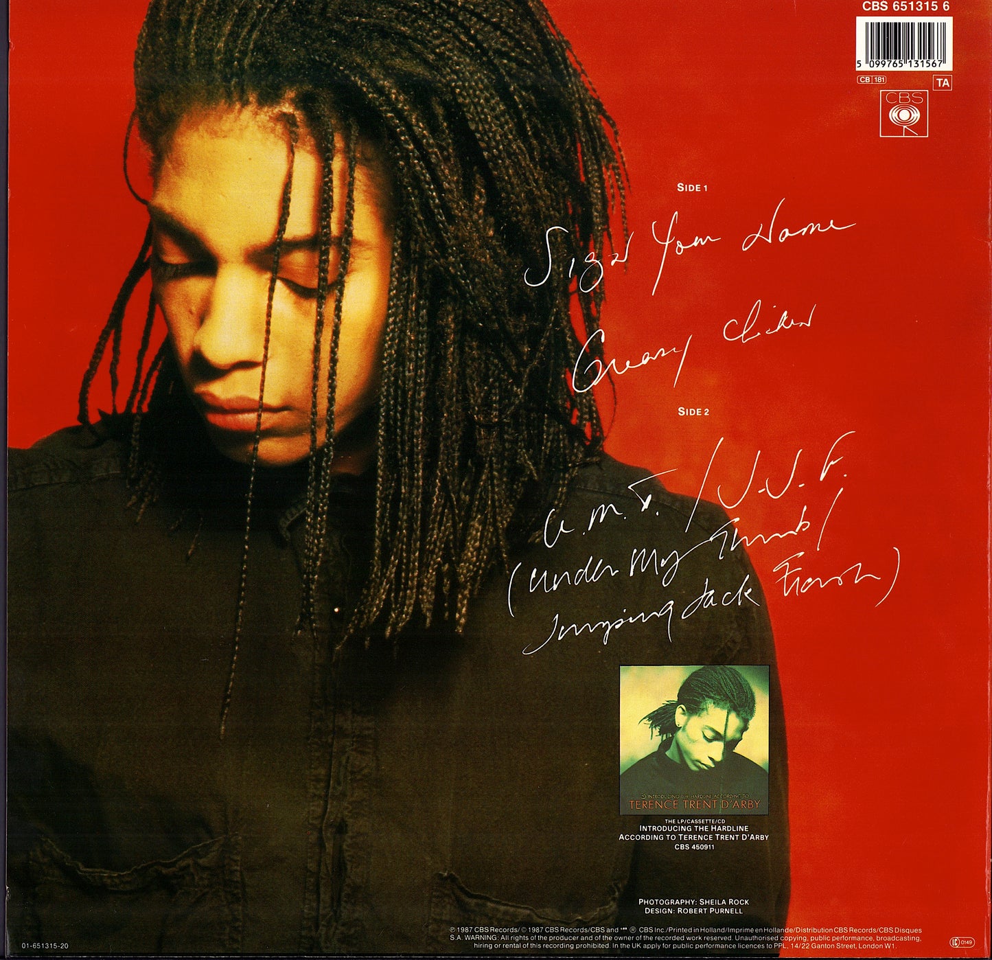 Terence Trent D'Arby – Sign Your Name Vinyl 12"