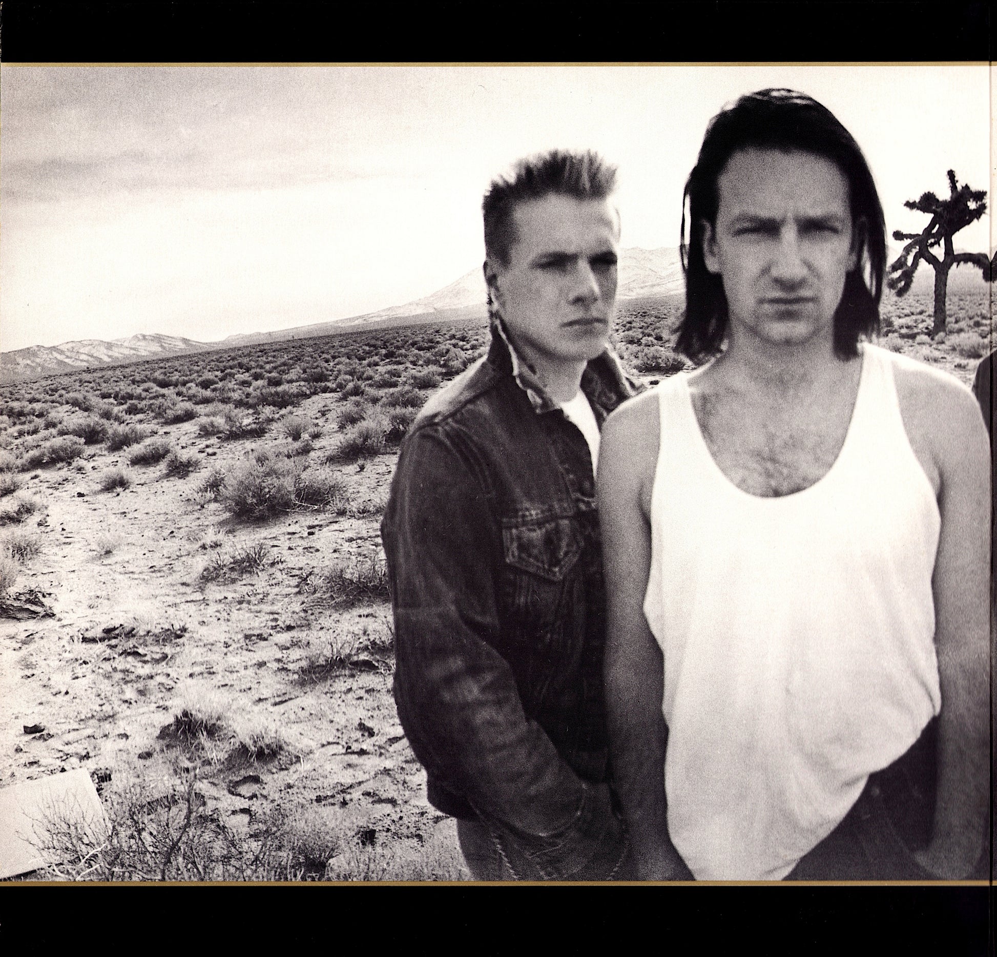 U2 ‎- The Joshua Tree Vinyl LP