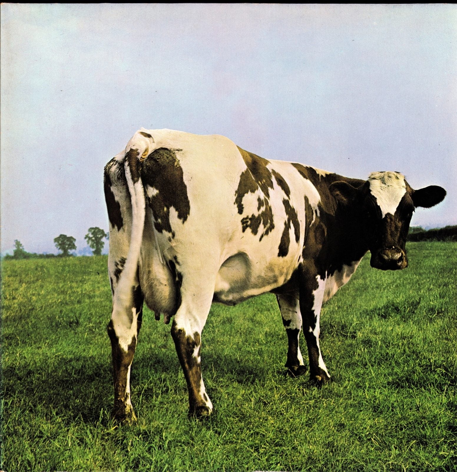 Pink Floyd ‎- Atom Heart Mother Vinyl LP Kopie