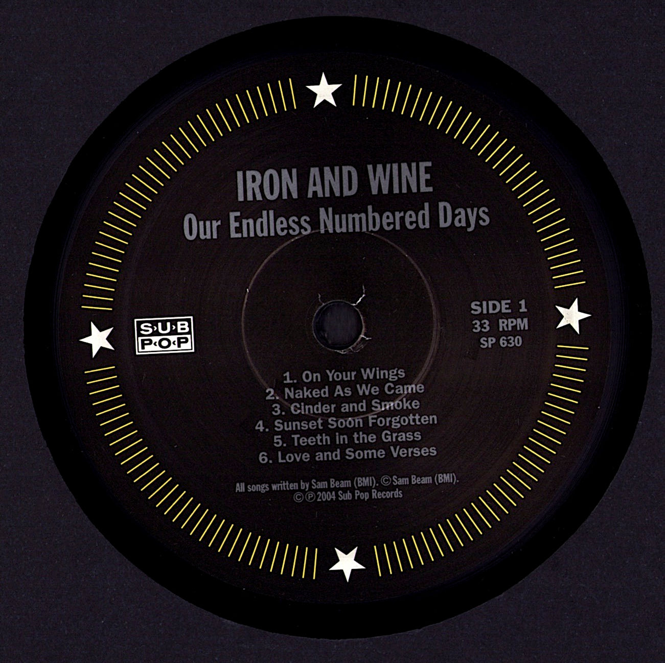 Iron + Wine - Our Endless Numbered Days Vinyl LP