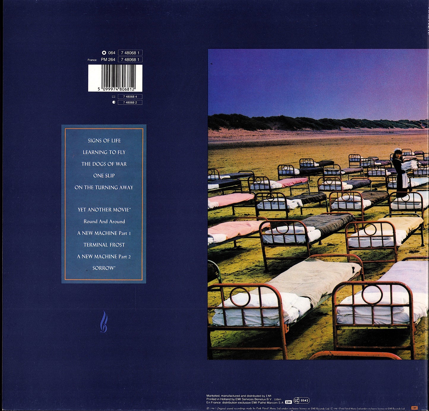 Pink Floyd ‎- A Momentary Lapse Of Reason Vinyl LP Kopie