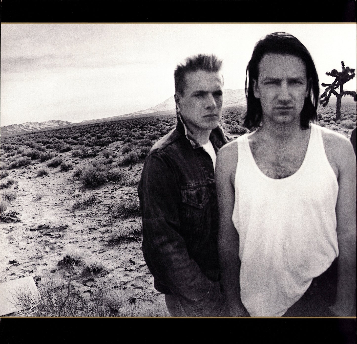U2 ‎- The Joshua Tree Vinyl LP Kopie