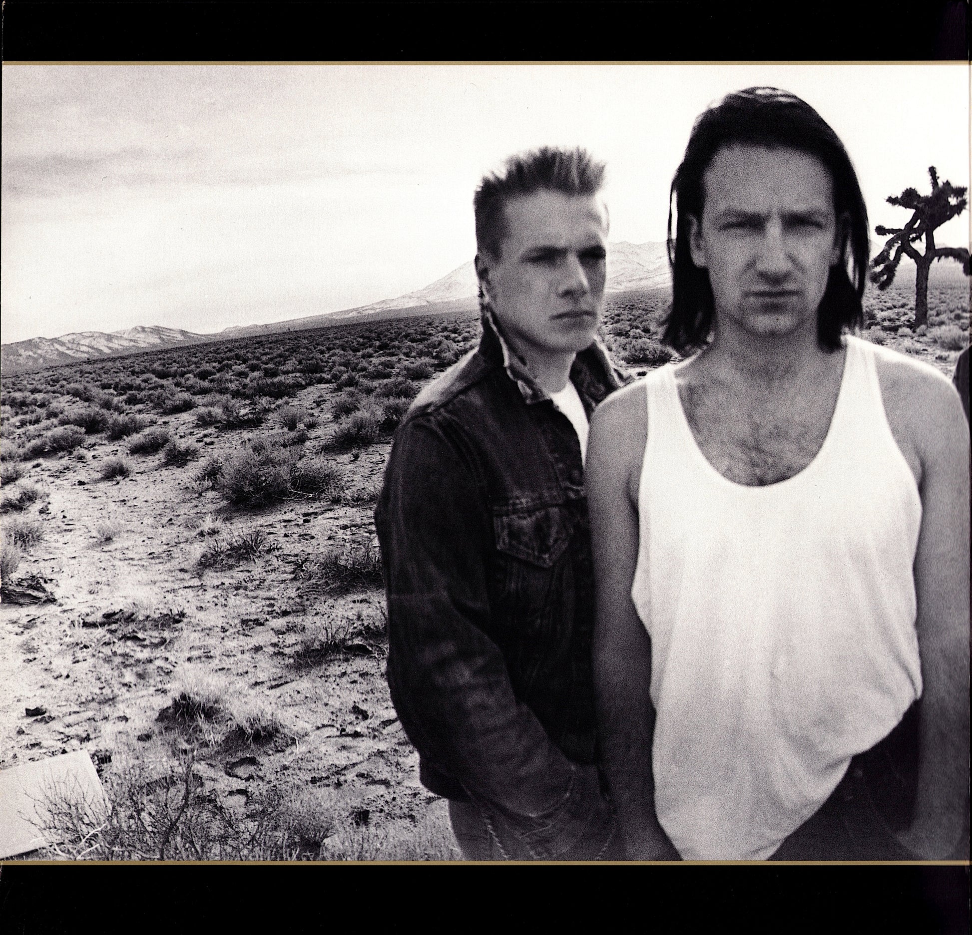 U2 ‎- The Joshua Tree Vinyl LP Kopie