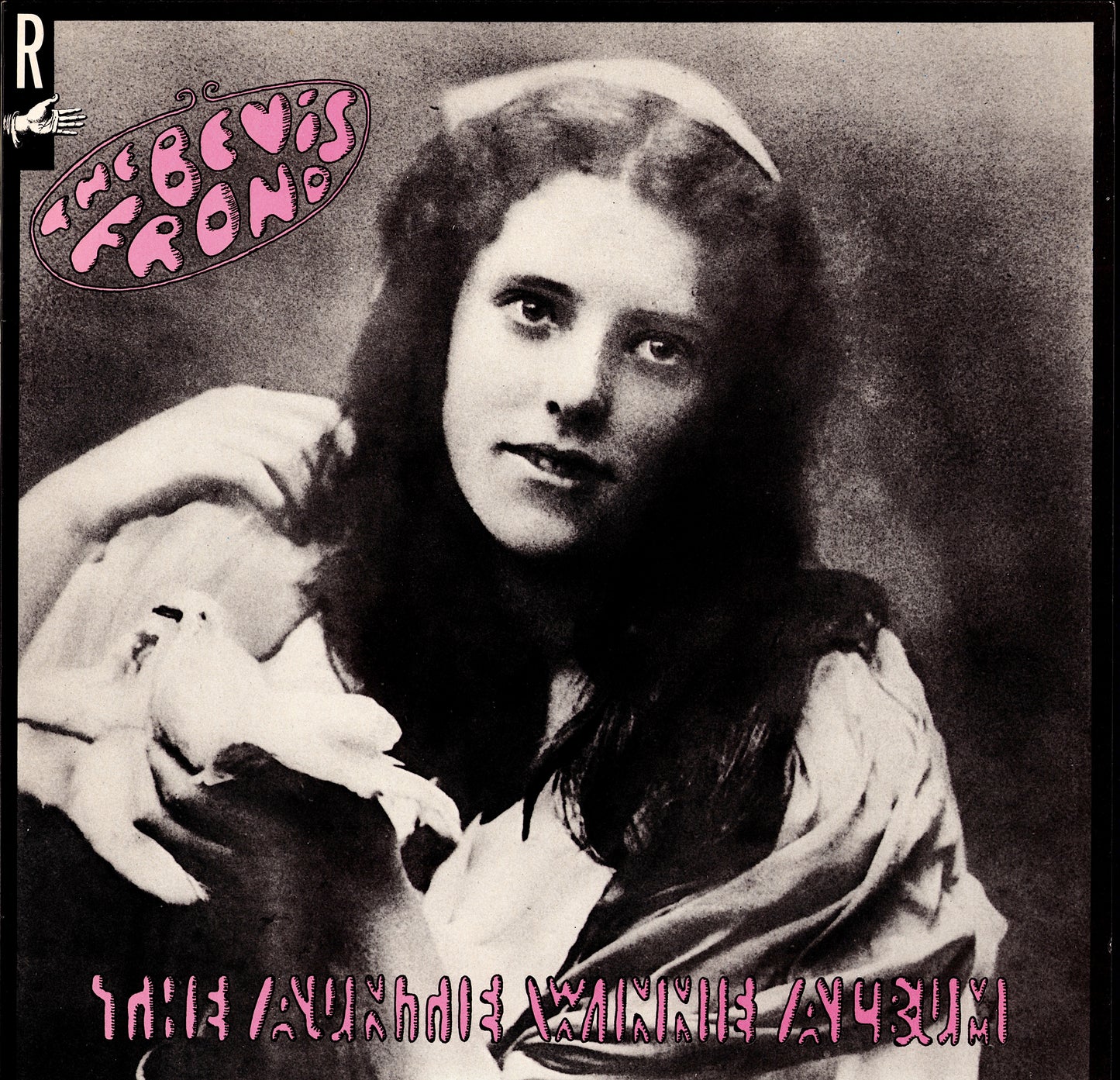 The Bevis Frond – The Auntie Winnie Album Vinyl LP