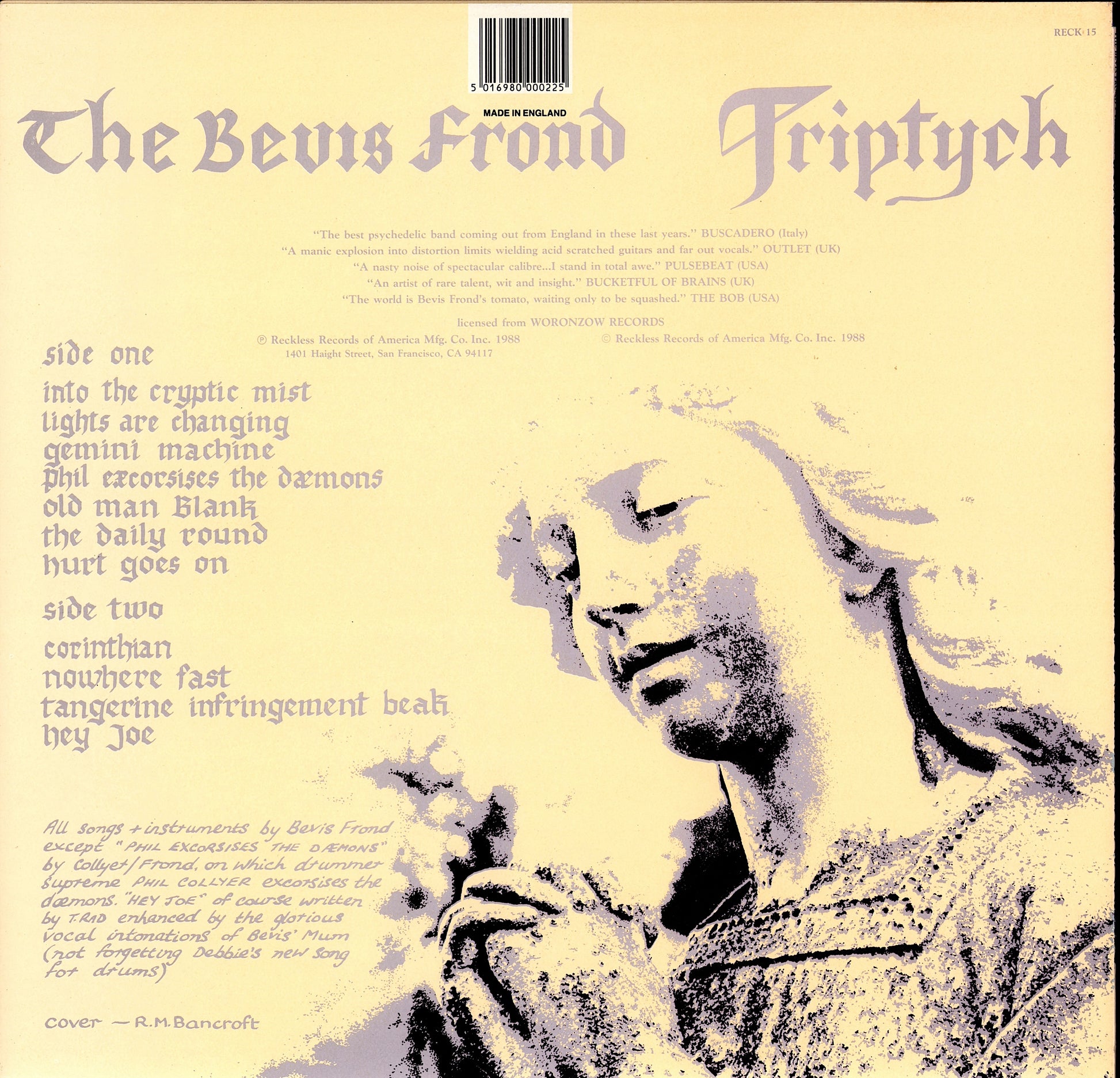 The Bevis Frond – Triptych Vinyl LP