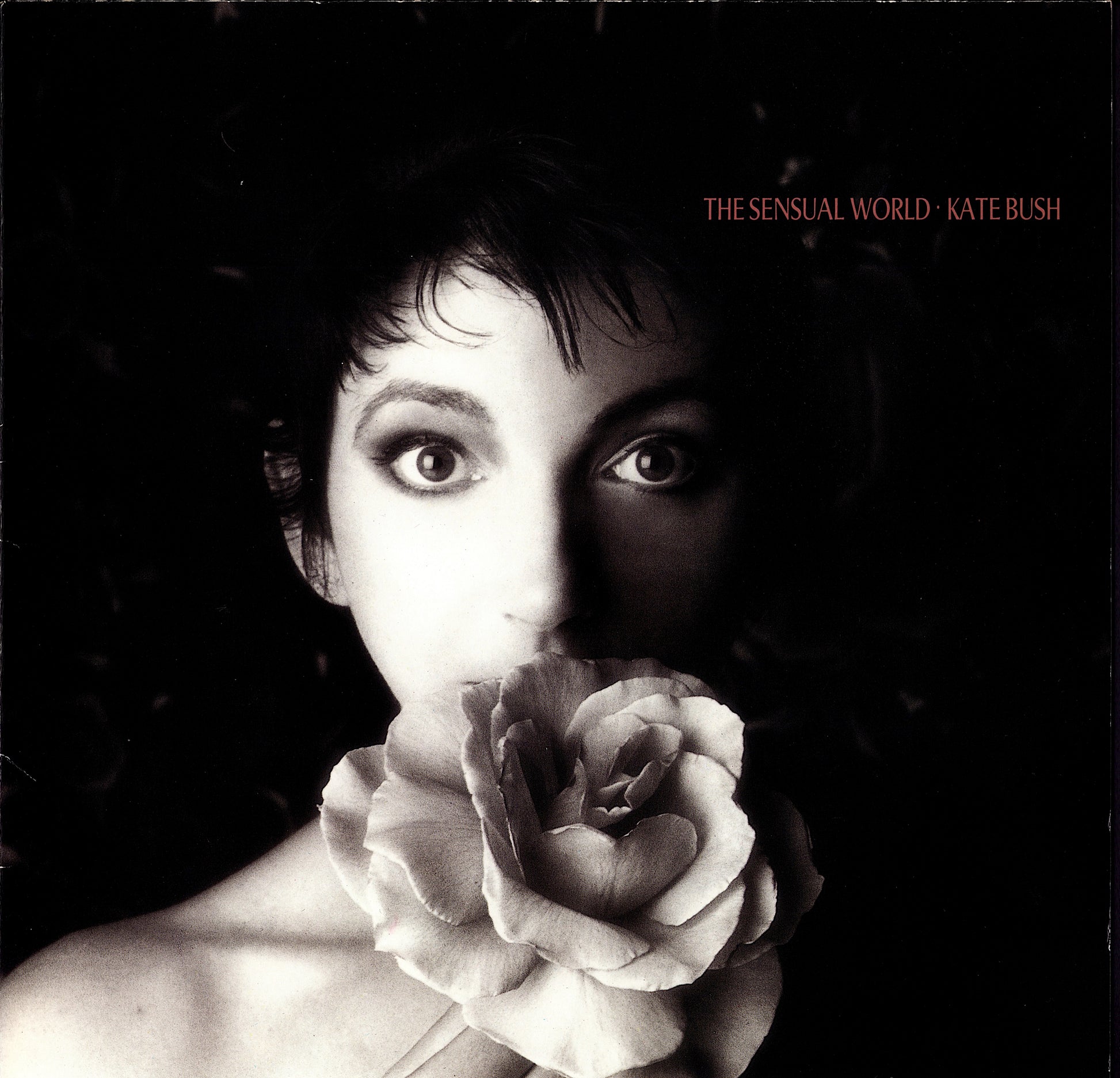 Kate Bush - Hounds Of Love Vinyl LP Kopie