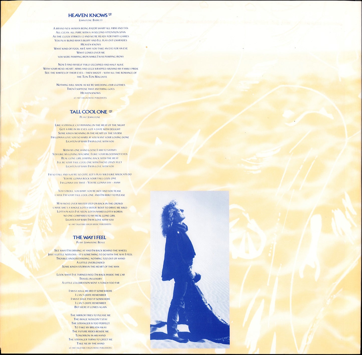 Robert Plant ‎- Manic Nirvana Vinyl LP Kopie