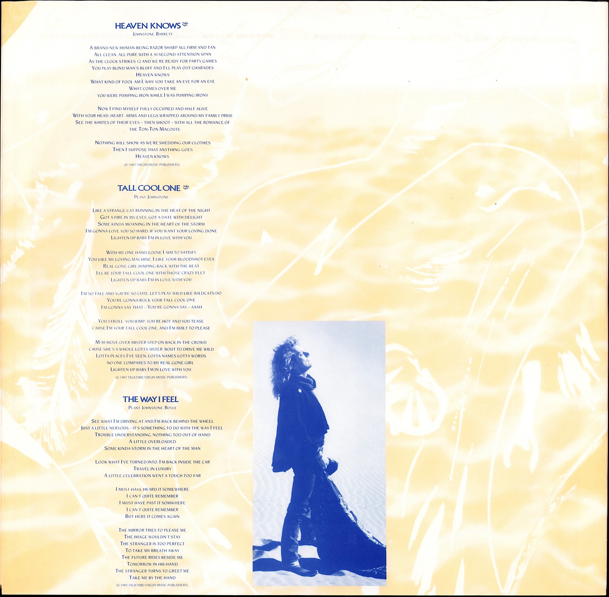 Robert Plant ‎- Manic Nirvana Vinyl LP Kopie