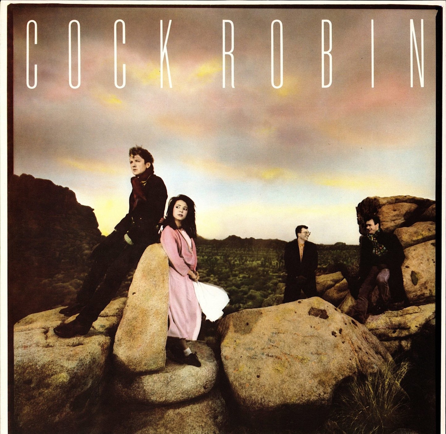 Cock Robin - Cock Robin Vinyl LP Kopie