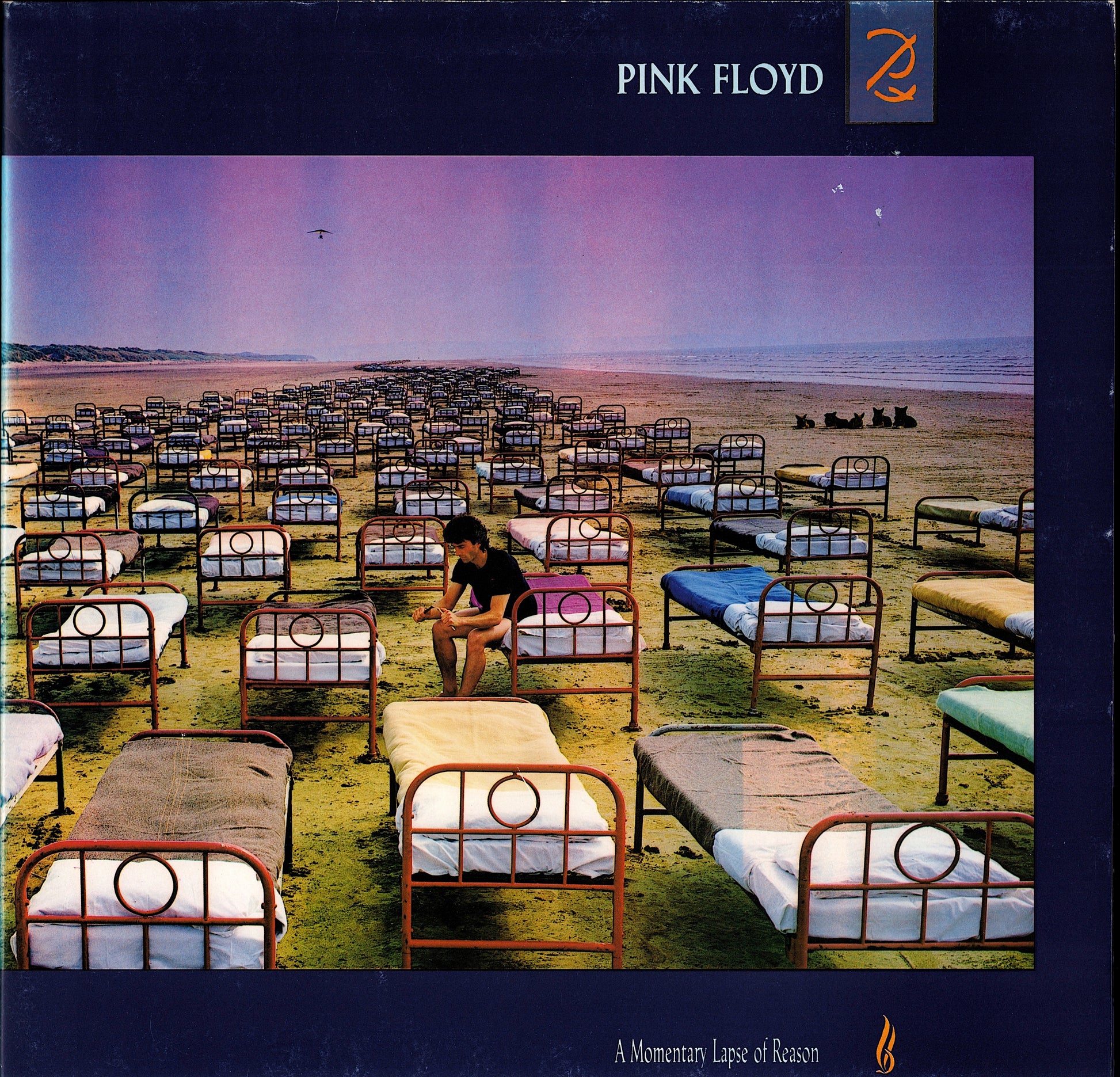 Pink Floyd - A Momentary Lapse Of Reason Vinyl LP Kopie