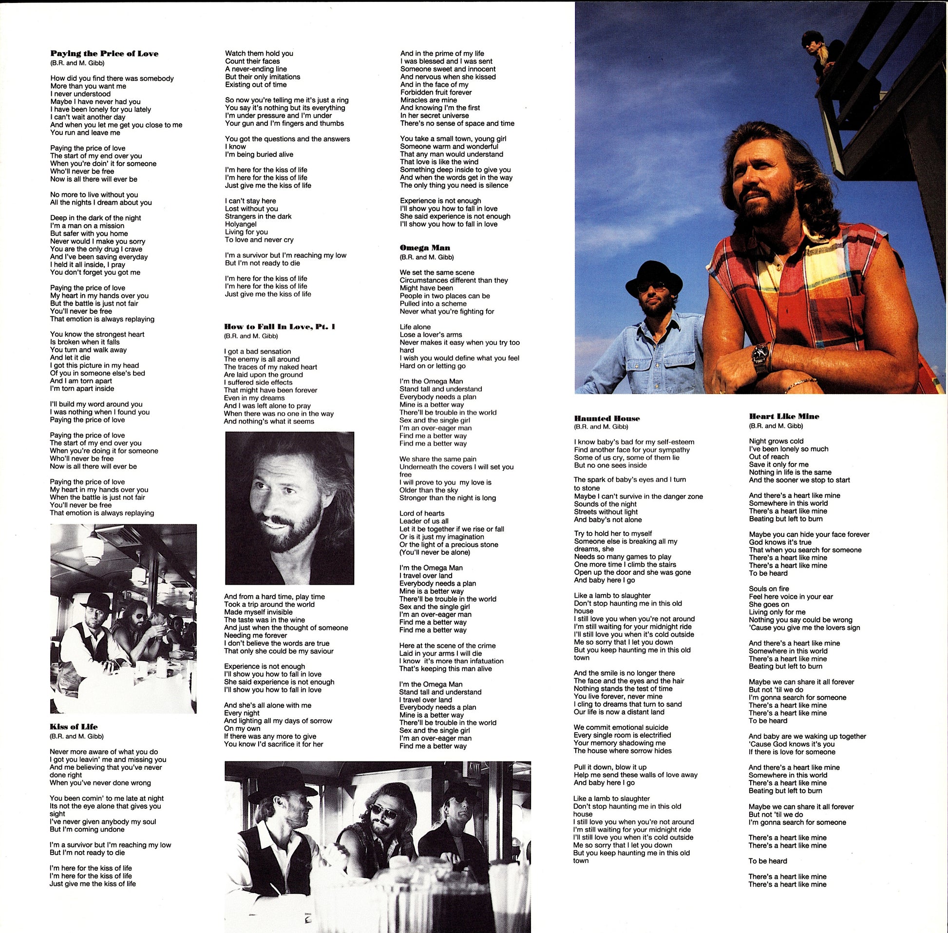 Bee Gees ‎- High Civilization Vinyl LP Kopie