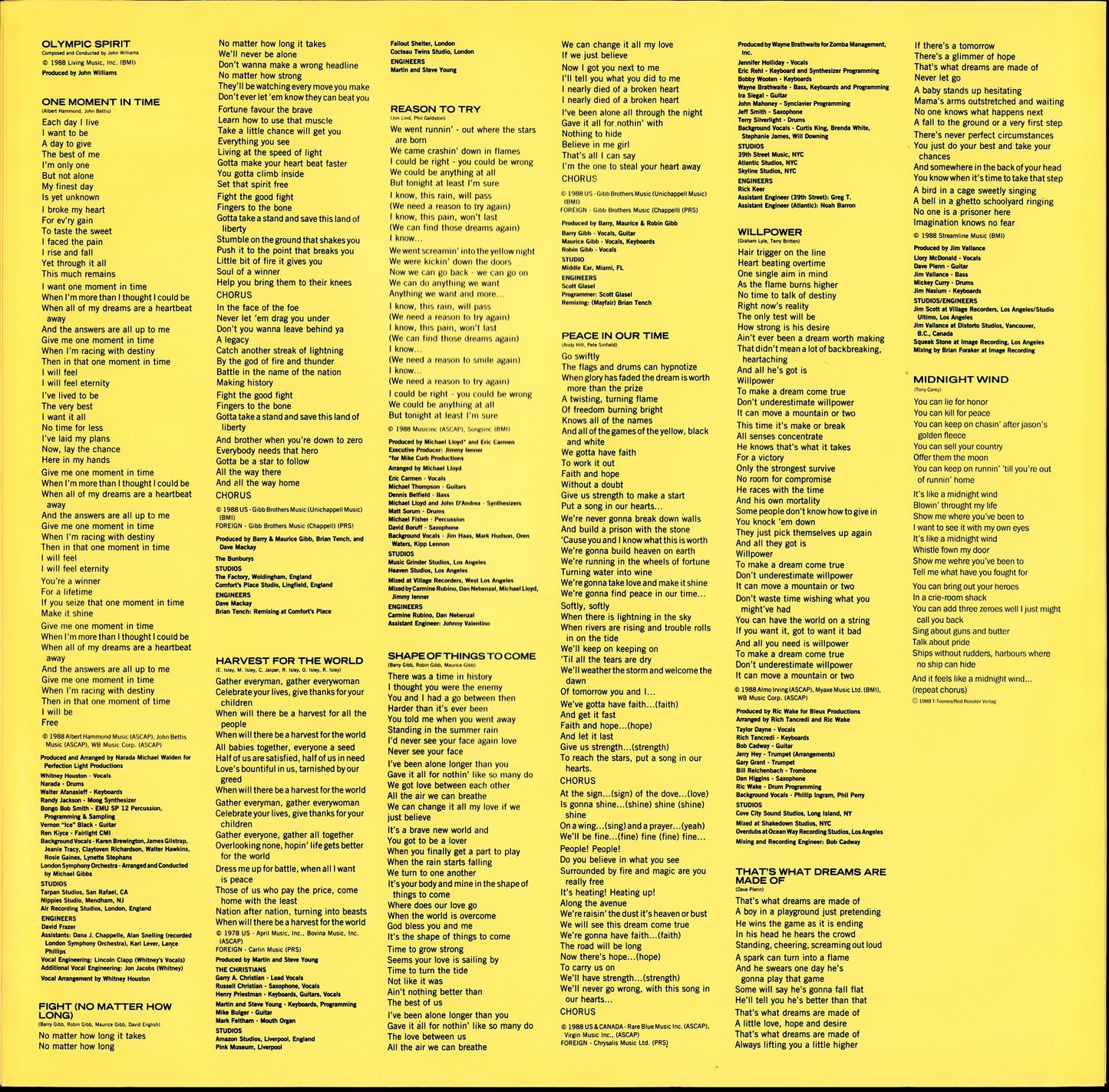 Whitney Houston – I'm Your Baby Tonight Vinyl LP Kopie