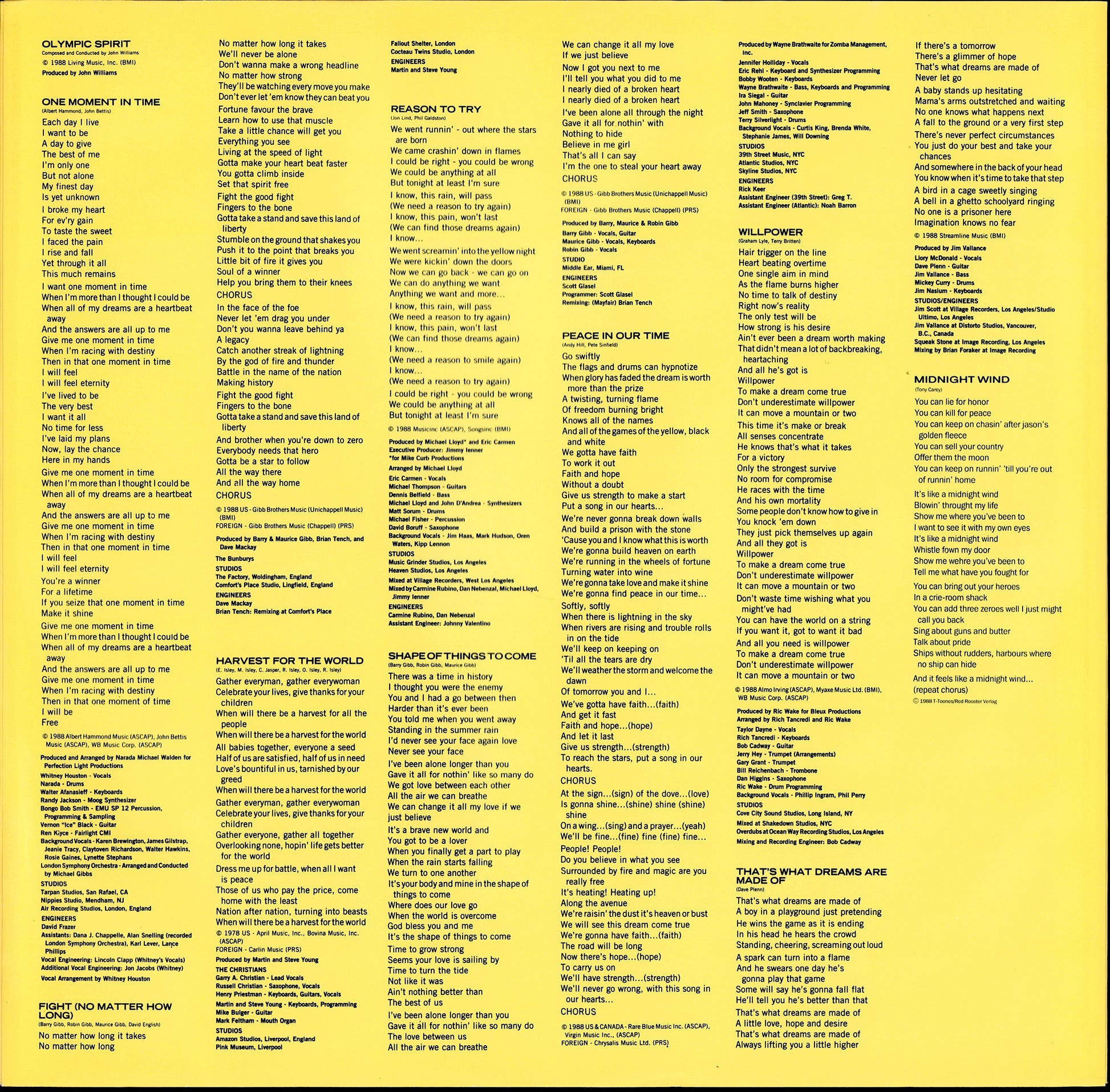 Whitney Houston – I'm Your Baby Tonight Vinyl LP Kopie