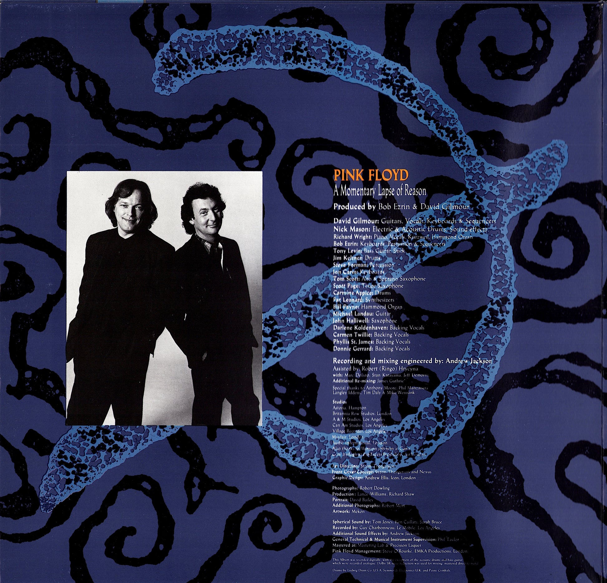 Pink Floyd - A Momentary Lapse Of Reason Vinyl LP Kopie