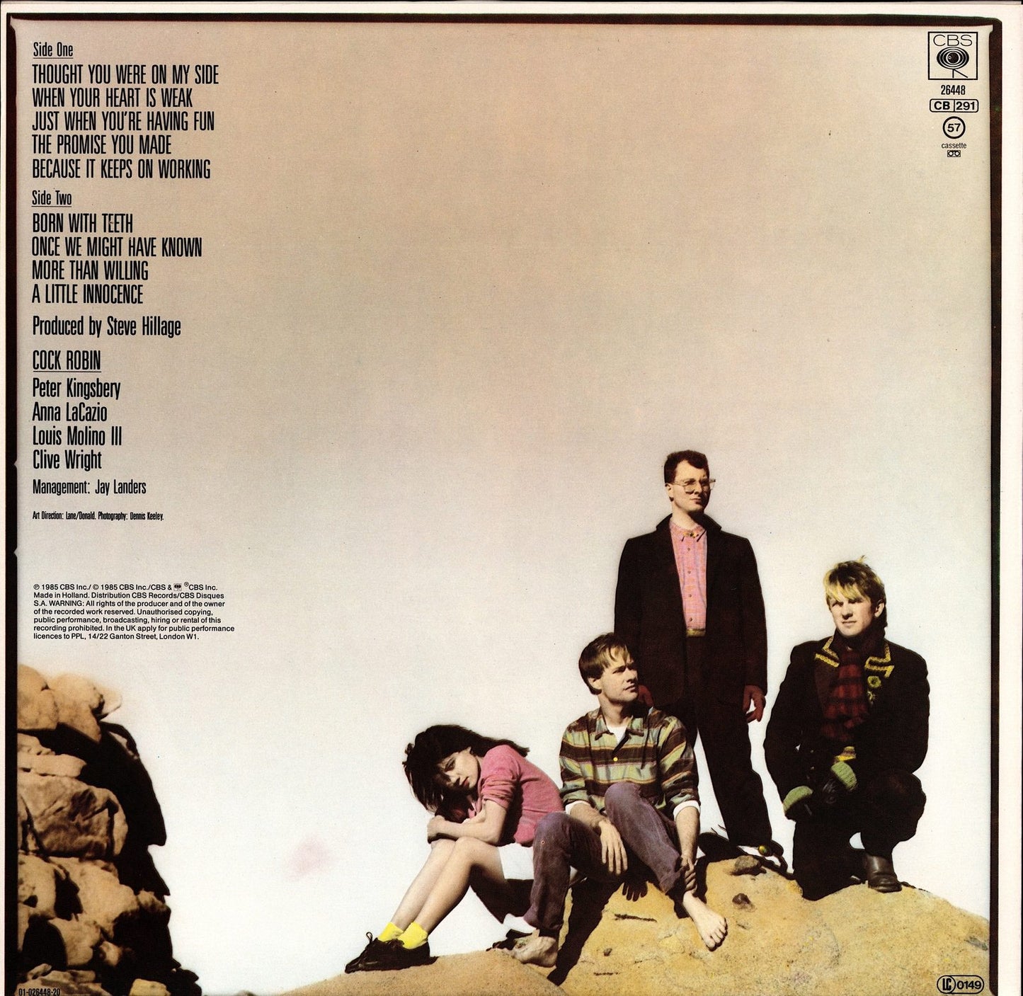 Cock Robin - Cock Robin Vinyl LP Kopie