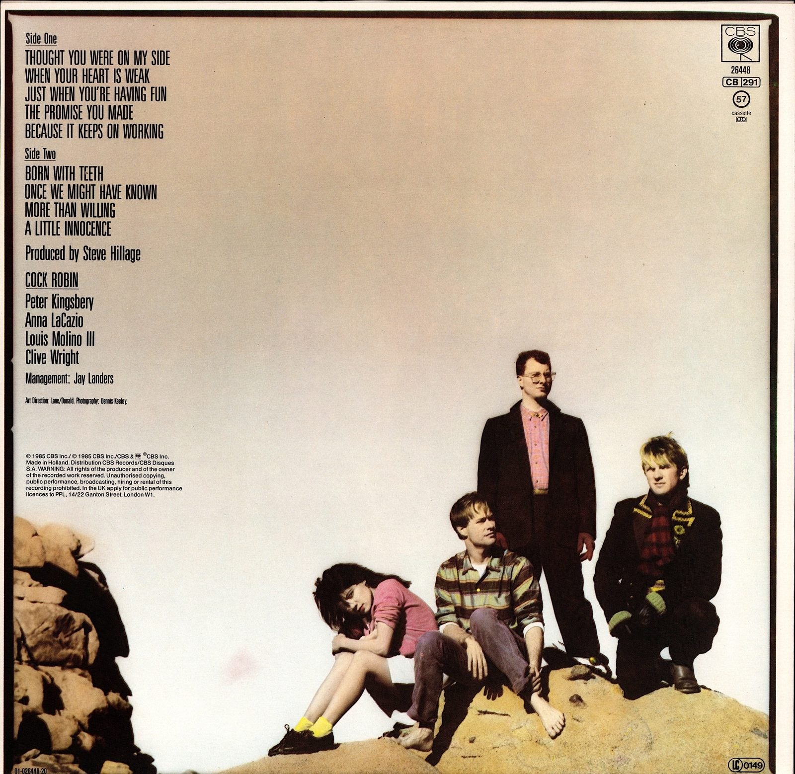 Cock Robin - Cock Robin Vinyl LP Kopie