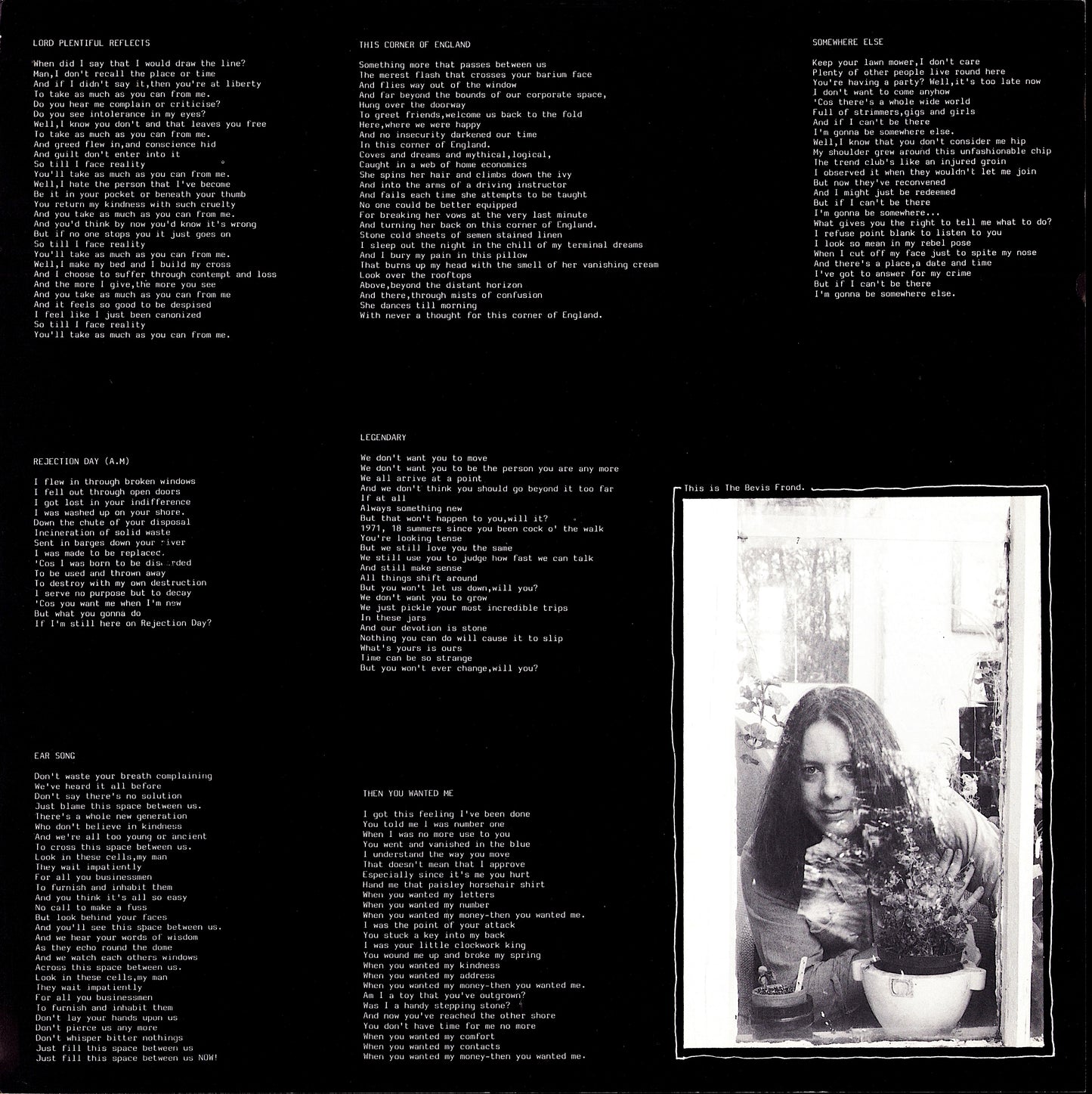 The Bevis Frond – Any Gas Faster Vinyl LP