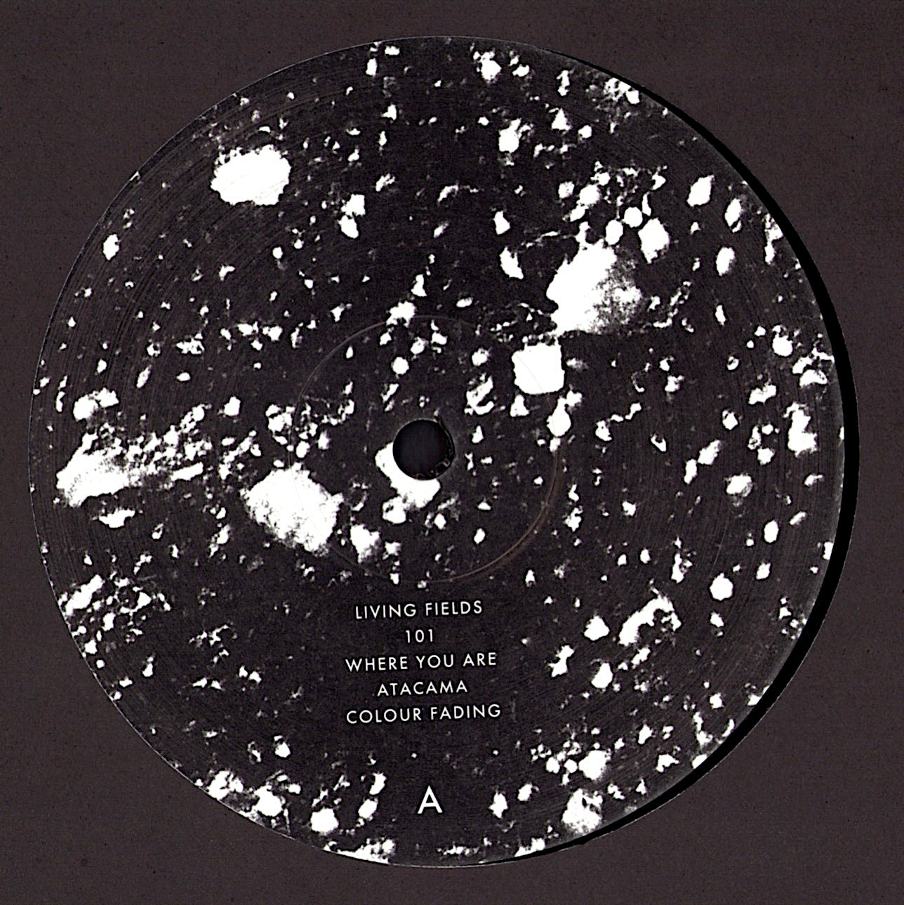 Chic – Collection Vinyl LP Kopie Kopie