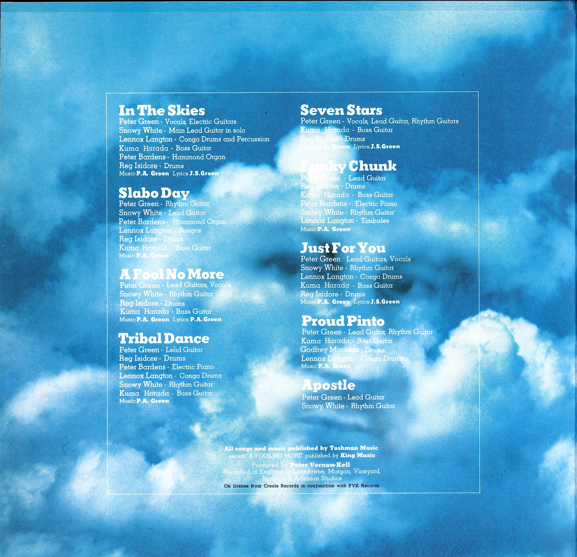 Peter Green - In The Skies Green Vinyl LP Kopie