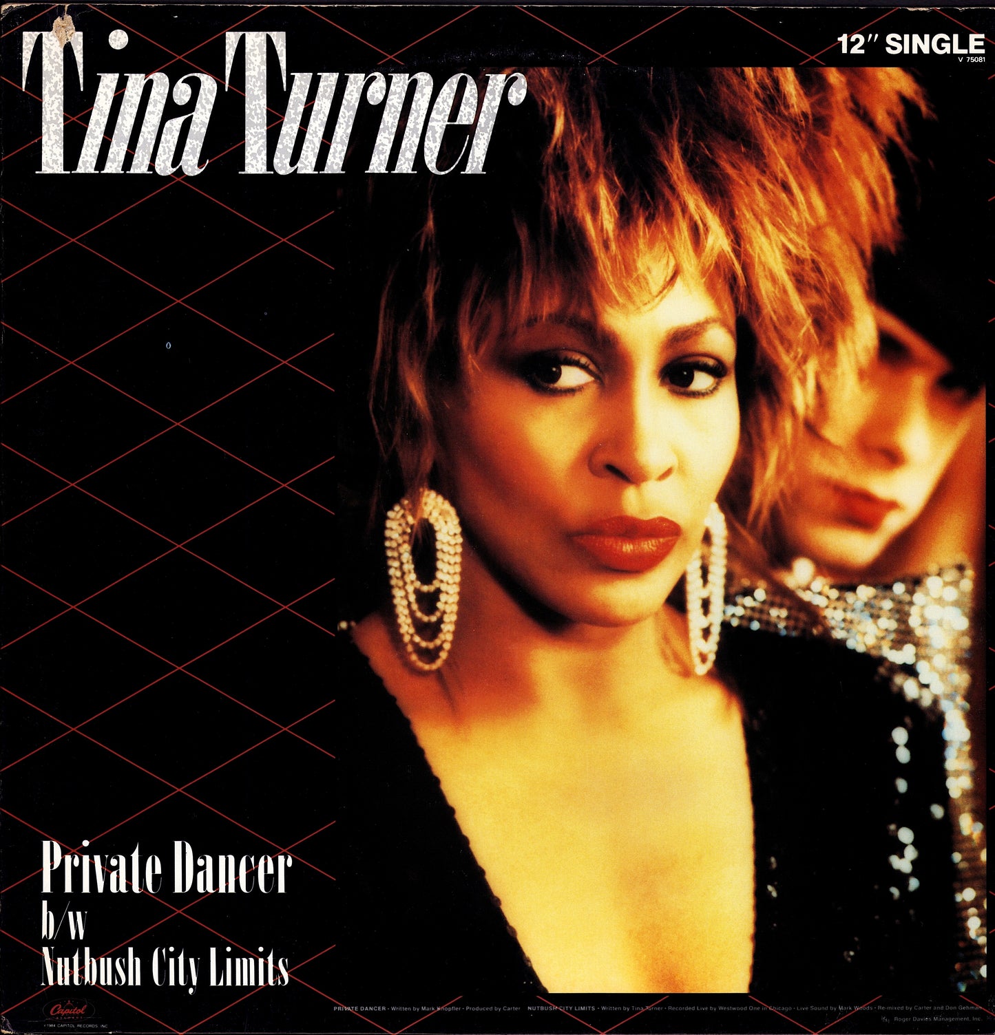 Tina Turner ‎- Private Dancer Full Length Version Vinyl 12" Maxi-Single