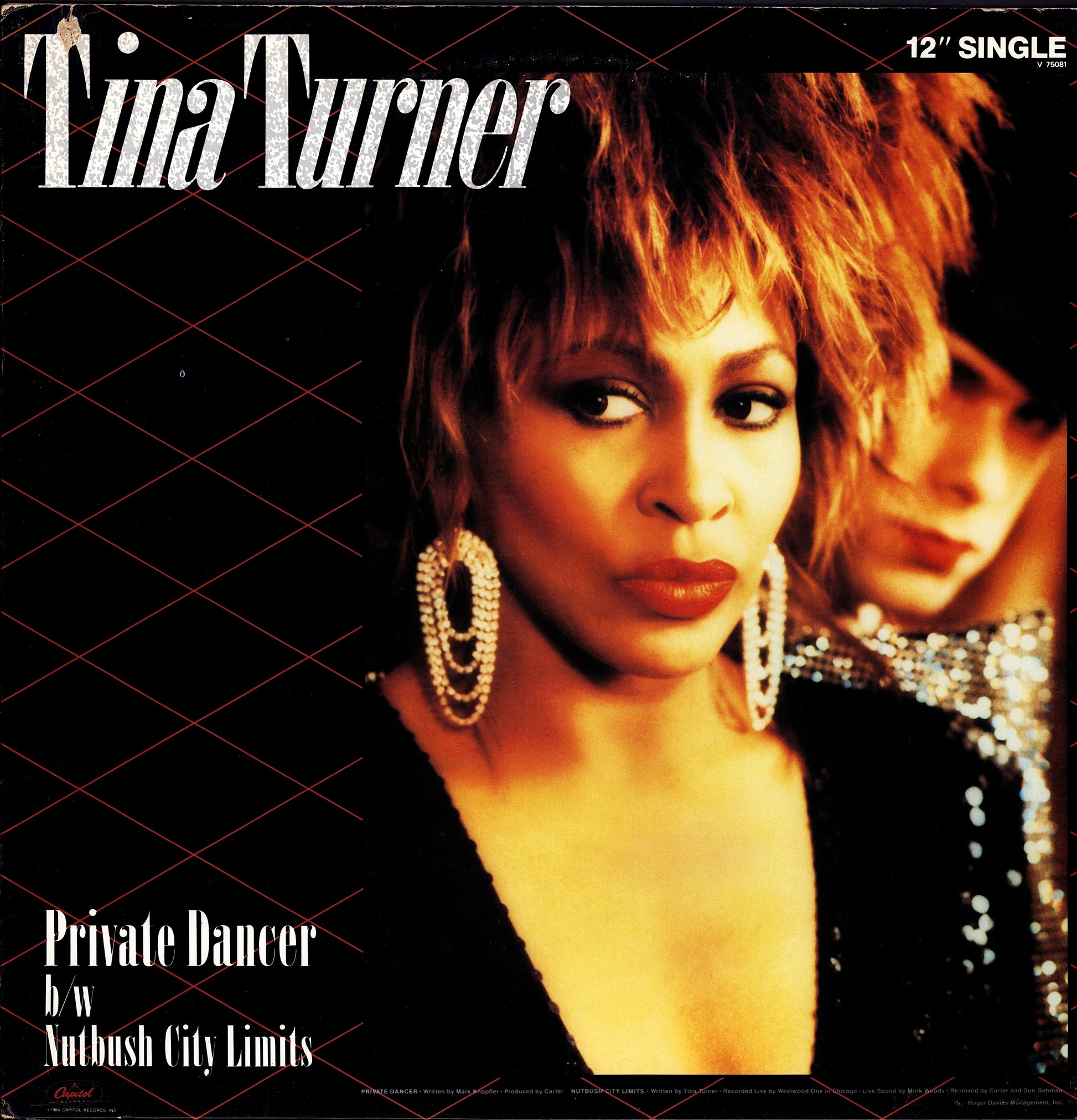 Tina Turner ‎- Private Dancer Full Length Version Vinyl 12" Maxi-Single