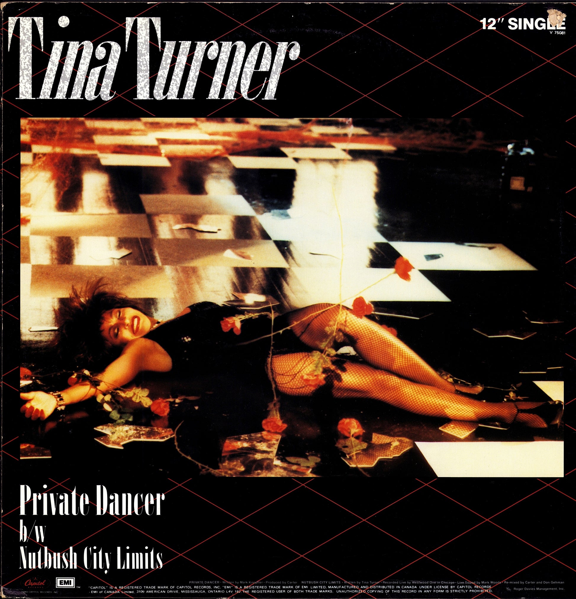 Tina Turner ‎- Private Dancer Full Length Version Vinyl 12" Maxi-Single