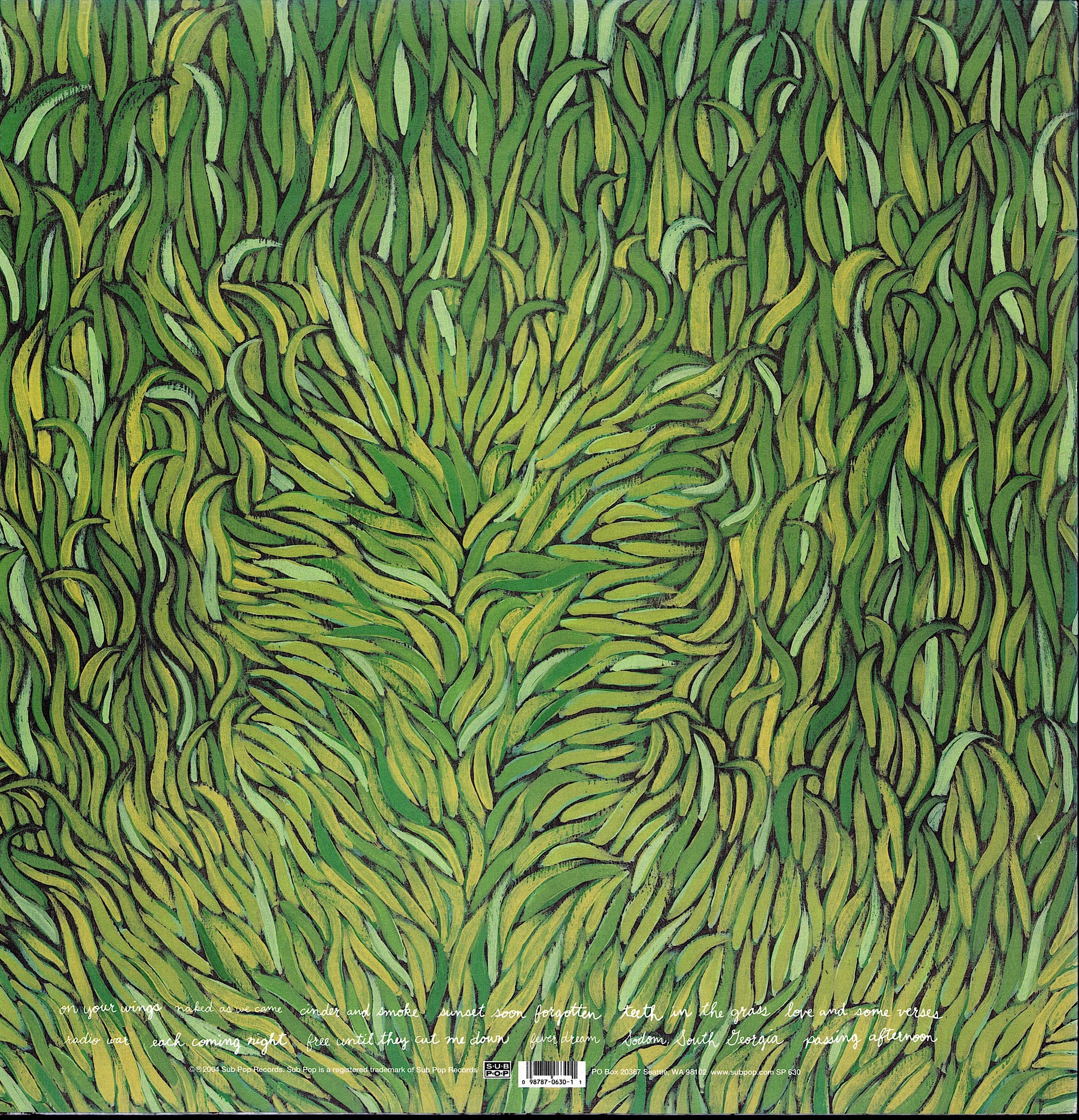 Iron + Wine - Our Endless Numbered Days Vinyl LP