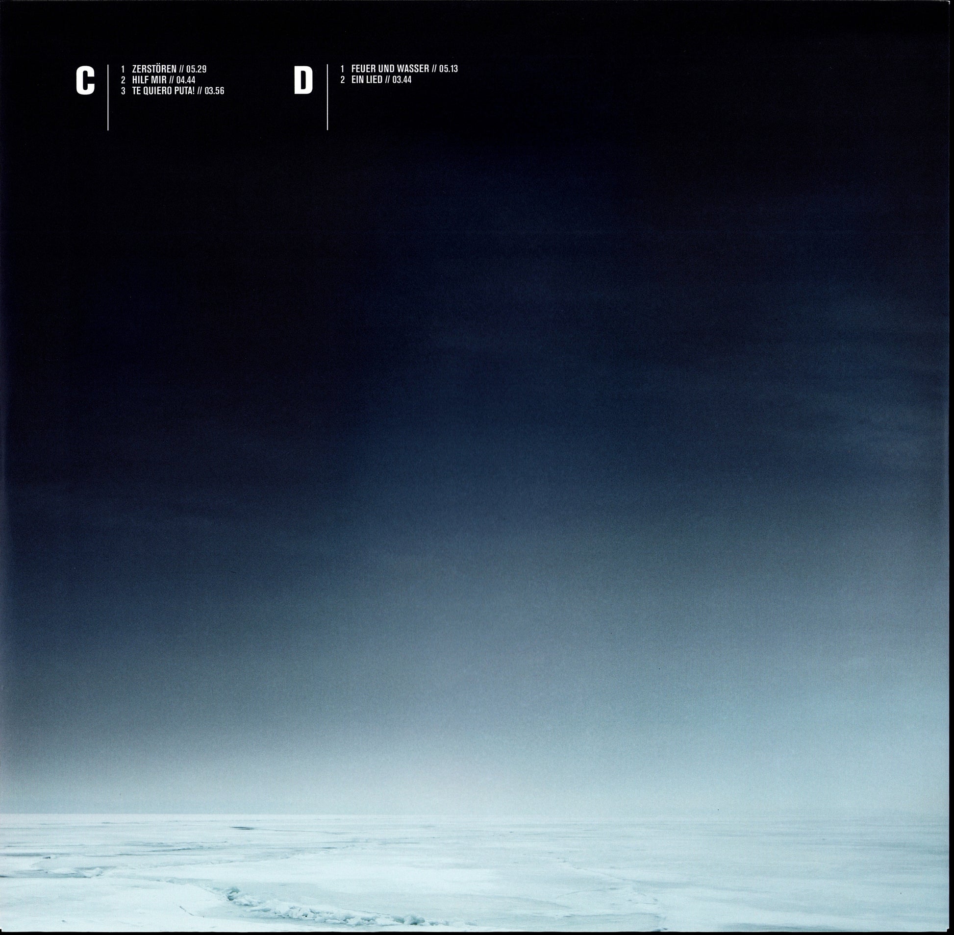 Rammstein - Rosenrot Vinyl 2LP EU Kopie