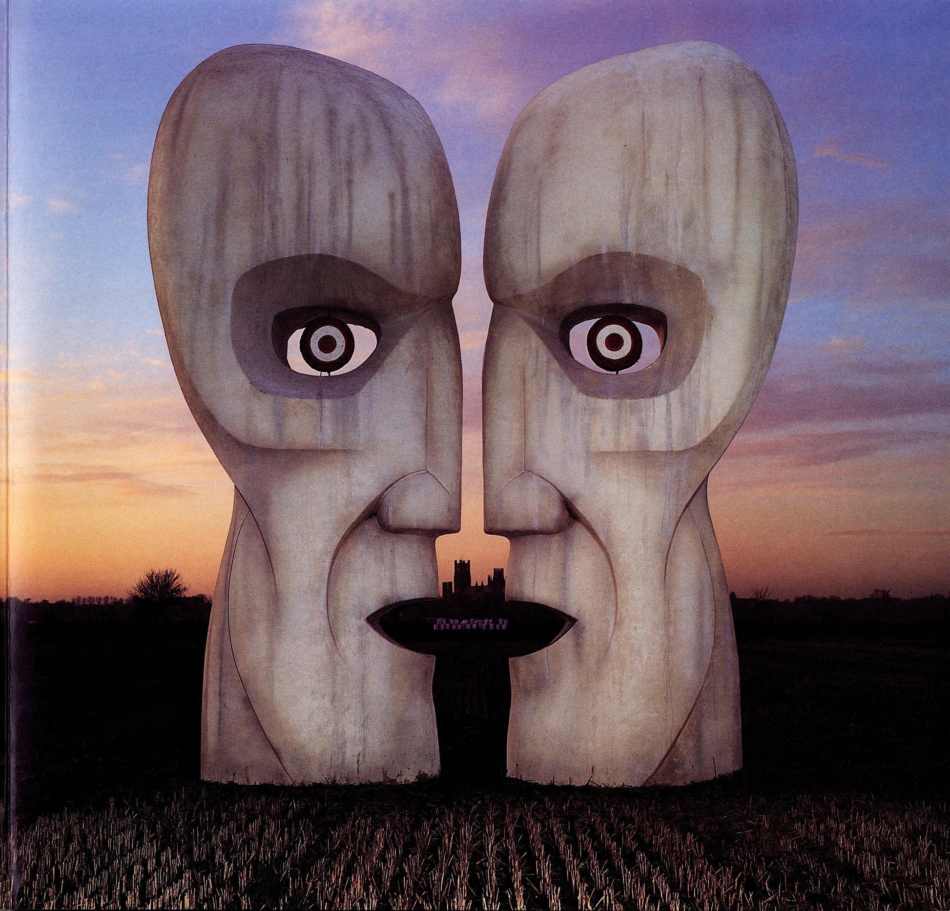 Pink Floyd ‎- The Division Bell Vinyl LP Kopie