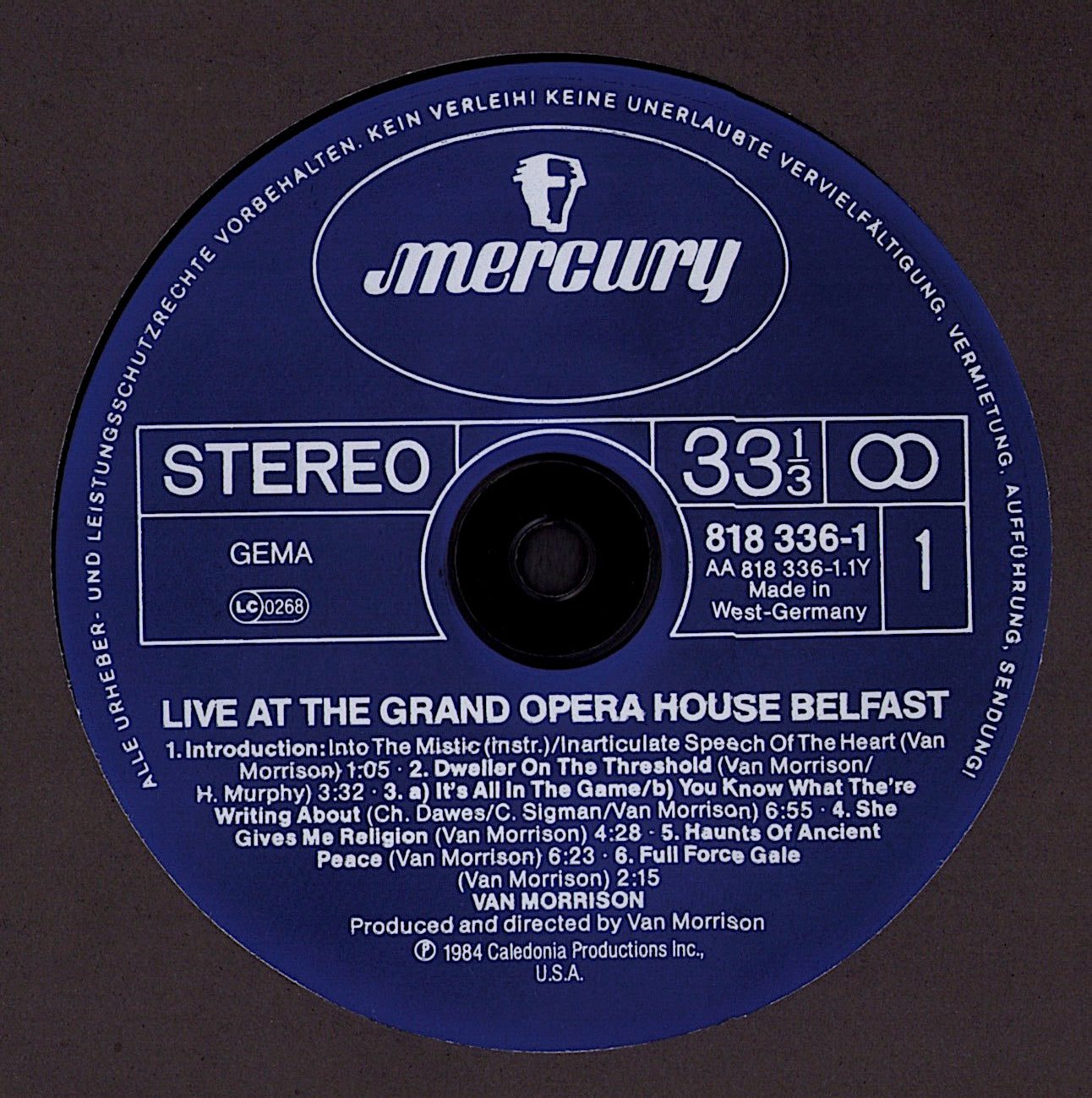 Van Morrison - Beautiful Vision Vinyl LP Kopie