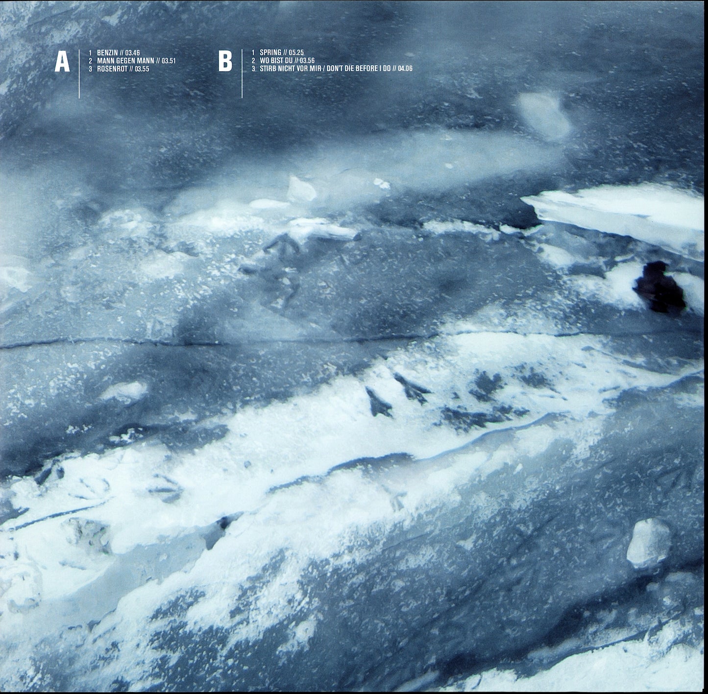 Rammstein - Rosenrot Vinyl 2LP EU Kopie